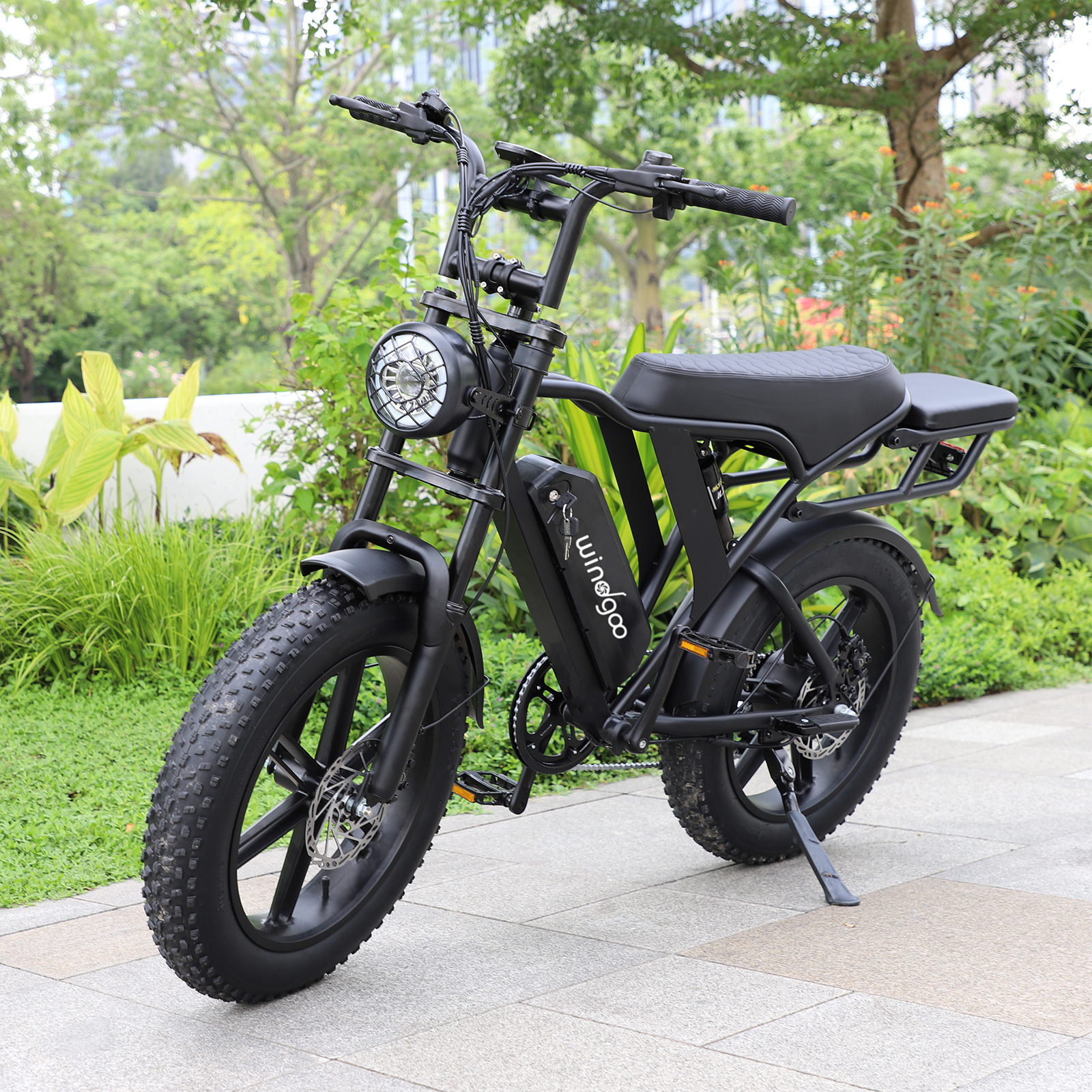 Windgoo - F20