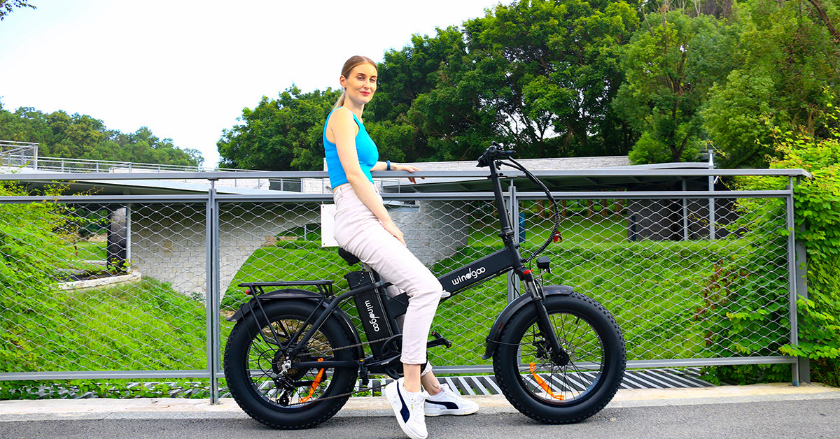 F21 Pro 4 0 Fatbike Off Road Foldable E Bike